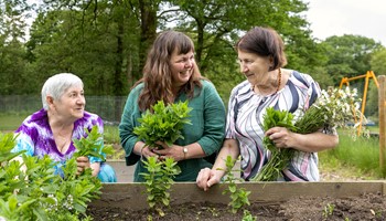 Dekkerswald Zorgzame Buurt Moestuin